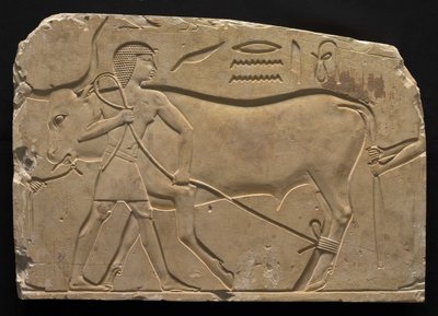 Uomini che legano un bue da Late Period Egyptian