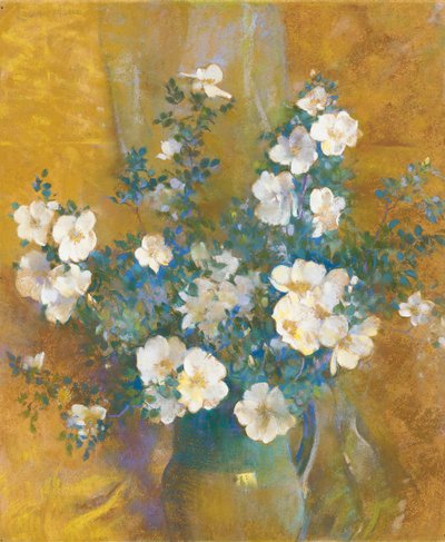 Rose Bianche da Laura Coombs Hills