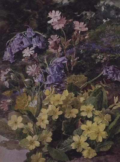 Studio di fiori da Laura Darcy Strutt