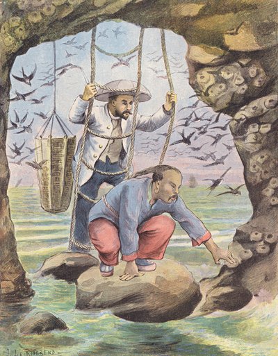 Raccolta di nidi di rondine a Sumatra (litografia a colori) da Laurence Louise Le Riverend