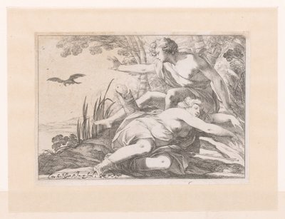 Apollo e Coronis da Laurent de La Hire