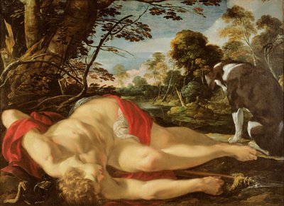 Adone Morto, c.1624-28 da Laurent de la Hyre
