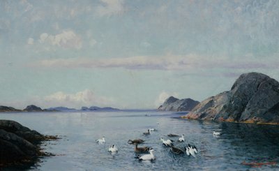 Costa meridionale con uccelli marini da Lauritz Haaland