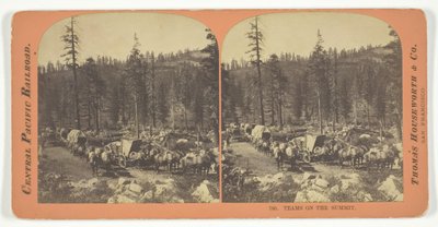 Squadre sulla vetta, 1867 da Lawrence and Houseworth
