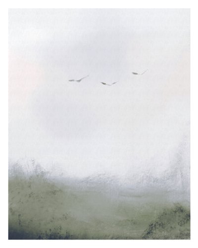 Uccelli che volano sopra un campo, c.2018 da Leah Straatsma