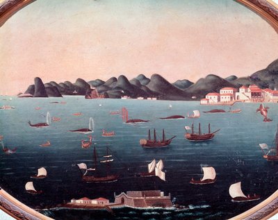 Caccia alla balena nella Baia di Guanabara in Brasile da Leandro Joachim