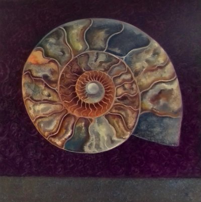 Ammonite, Magenta, 2021 da Lee Campbell