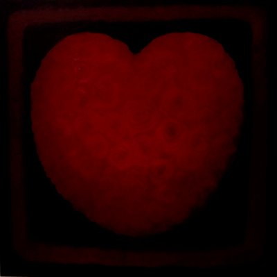 Grande Amore, 2021 da Lee Campbell