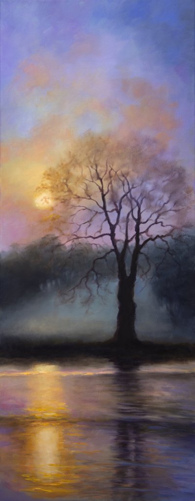 Bushy Park al Tramonto da Lee Campbell