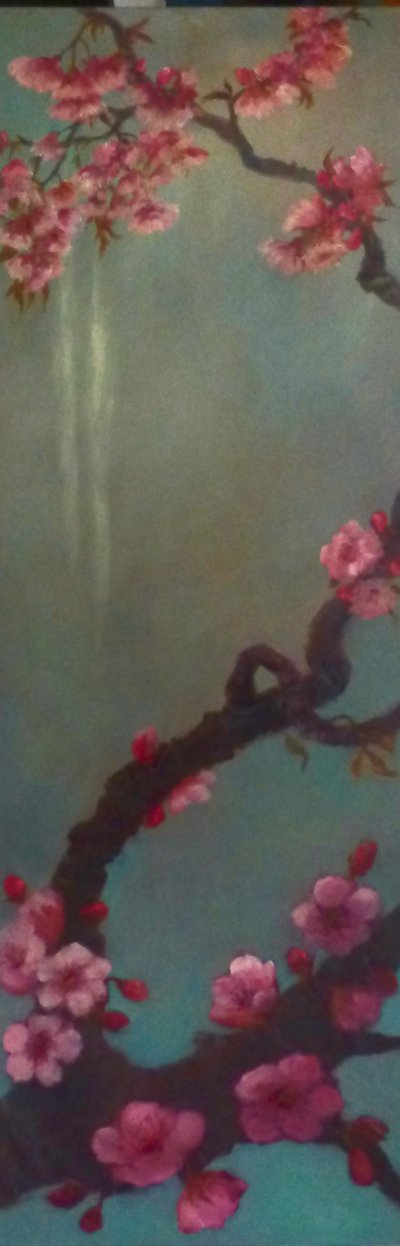Fiori di ciliegio da Lee Campbell