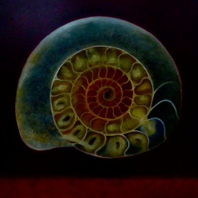 Ammolite verde, 2020 da Lee Campbell