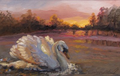 Cigno all
