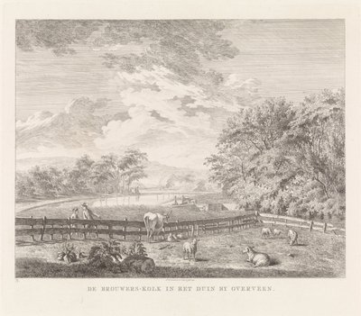 Brouwerskolk a Overveen da Leendert Overbeek