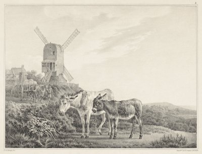 Due asini in un paesaggio con un mulino (serie di sei disegni di L. de Koningh) da Leendert de Koningh