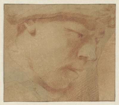 Testa di un ragazzo, verso destra da Leendert van der Cooghen (manner of)