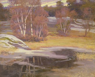 Tra inverno e primavera da Lennart Nyblom