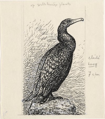 Cormorano da Leo Gestel