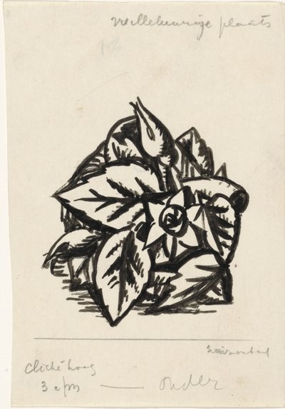 Fiori da Leo Gestel