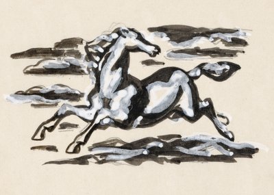 Cavallo al galoppo da Leo Gestel