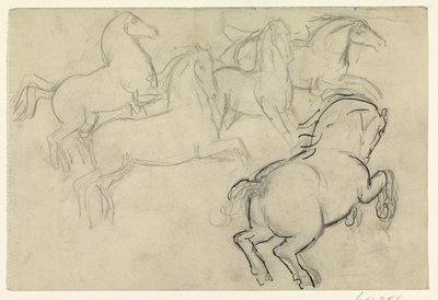 Cavalli al galoppo da Leo Gestel