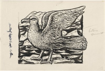 Gabbiano da Leo Gestel
