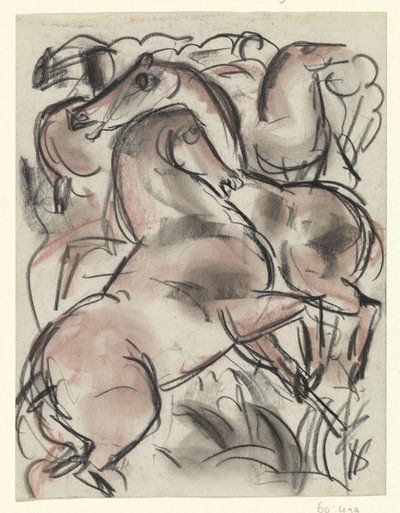 Cavalli nella Natura da Leo Gestel