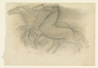 Cavalli al galoppo da Leo Gestel