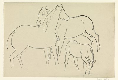 Due cavalli e un puledro da Leo Gestel