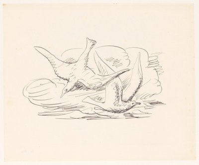 Due gabbiani da Leo Gestel