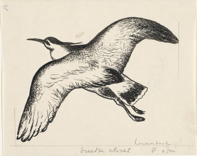 Uccello in volo da Leo Gestel