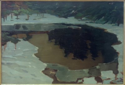 Lago di torbiera in inverno da Leo Putz