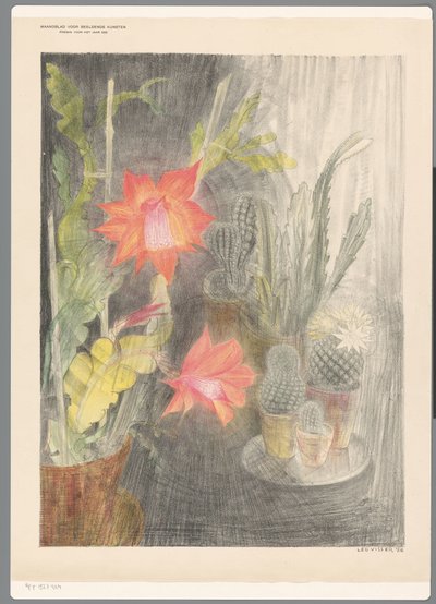 Vasi con cactus e pianta in fiore da Leo Visser