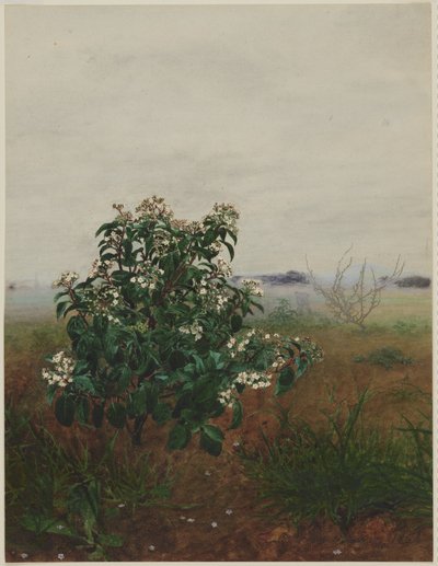  da Léon Bonvin