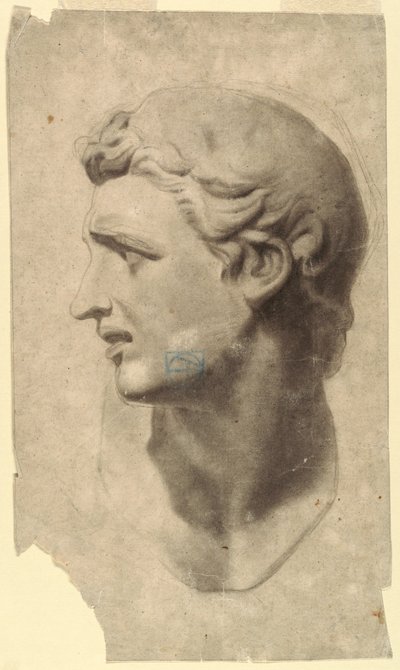 Disegno, Studio di una testa maschile classica (da un calco in gesso), 1881-92 da Leon Dabo