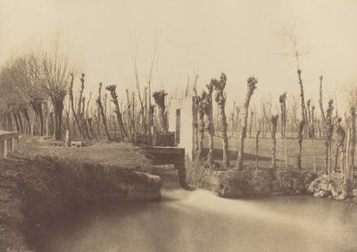 Paesaggio, Montebello, c. 1860 (foto) da Léon Gérard