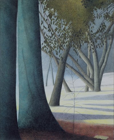 Tronchi di faggio da Leon Spilliaert