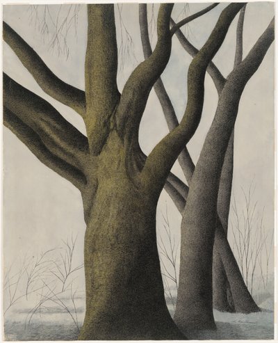  da Leon Spilliaert