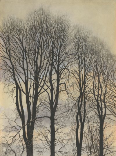Albero nel cielo da Leon Spilliaert