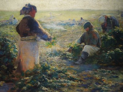 Raccolta di barbabietole I da Leon Wyczółkowski