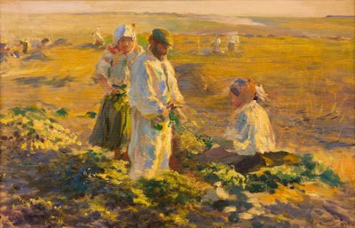Raccolta delle Barbabietole da Leon Wyczolkowski