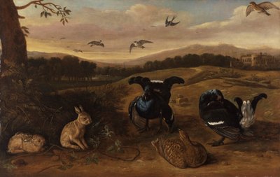 Selvaggina nera, conigli e rondini in un parco da Leonard Knyff