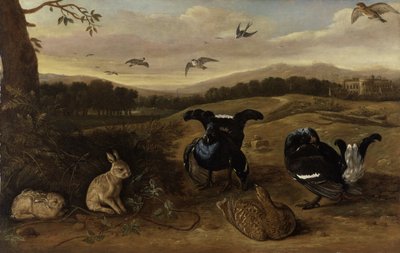 Selvaggina nera, conigli e rondini in un parco, c.1700 da Leonard Knyff