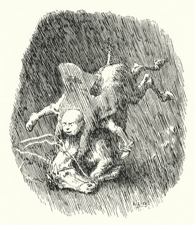 John Cook aveva una piccola cavalla grigia (incisione) da Leonard Leslie Brooke