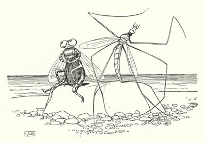 Il Papà Gambalunga e la Mosca da Leonard Leslie Brooke