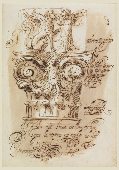 Progetto per un Capitello da Leonardo Scaglia