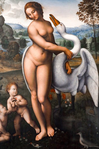 Leda e il cigno da Leonardo da (after) Vinci