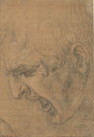 Testa di un uomo che urla da Leonardo da Vinci (follower of)