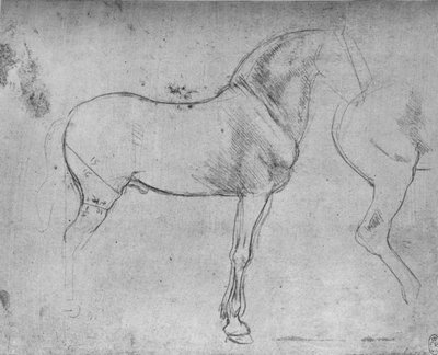 Un cavallo di profilo a destra e le sue quarti posteriori, c1480 1945 da Leonardo da Vinci