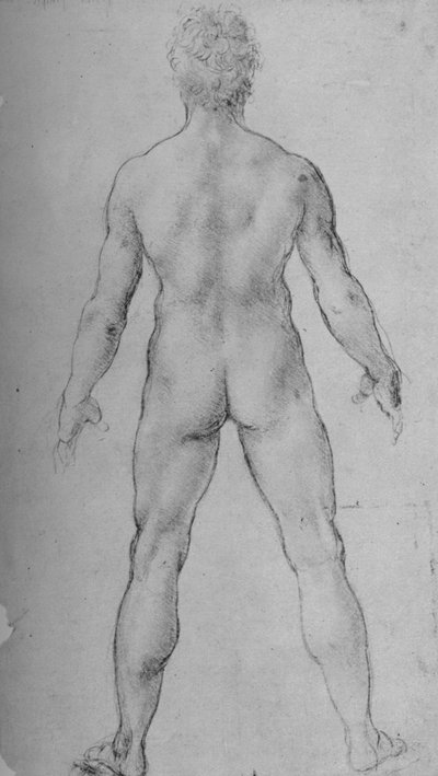 Un uomo nudo visto di schiena, c1480 da Leonardo da Vinci