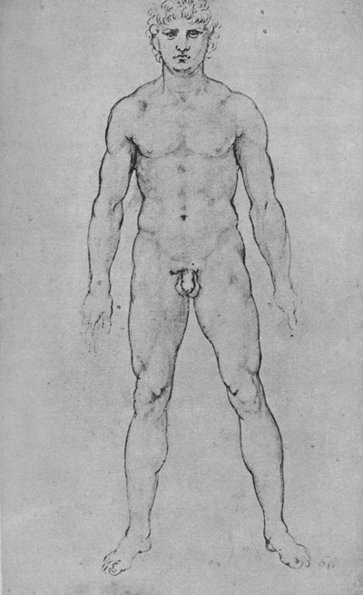 Un uomo nudo visto di fronte da Leonardo da Vinci